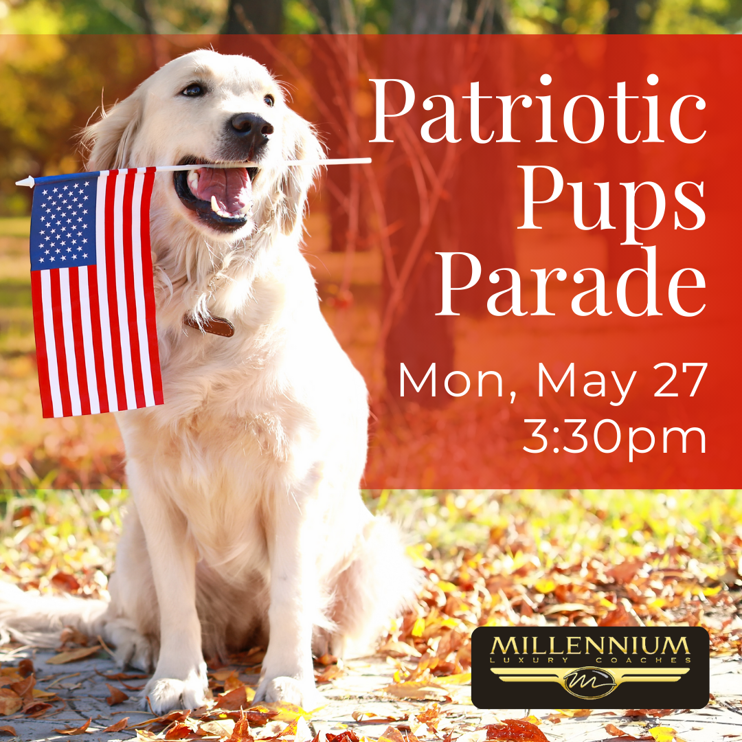Millennium Luxury Coaches Presents Patriotic Pups Parade