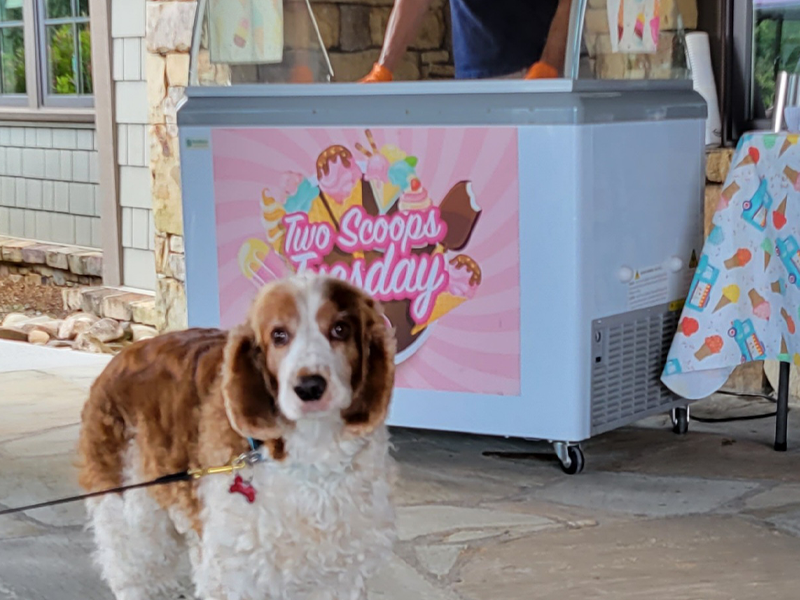 20230725_142313 20230725_142313