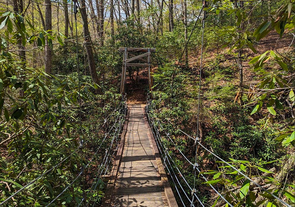 Andy-Cove-Nature-Trail