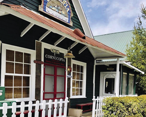 MF_TTD_Cornucopia_481x387