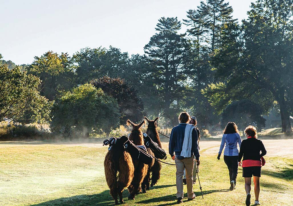 Sherwood-Forest-Golf-Club-