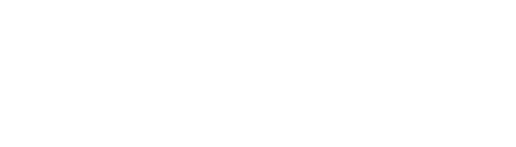 mtn-falls-logo