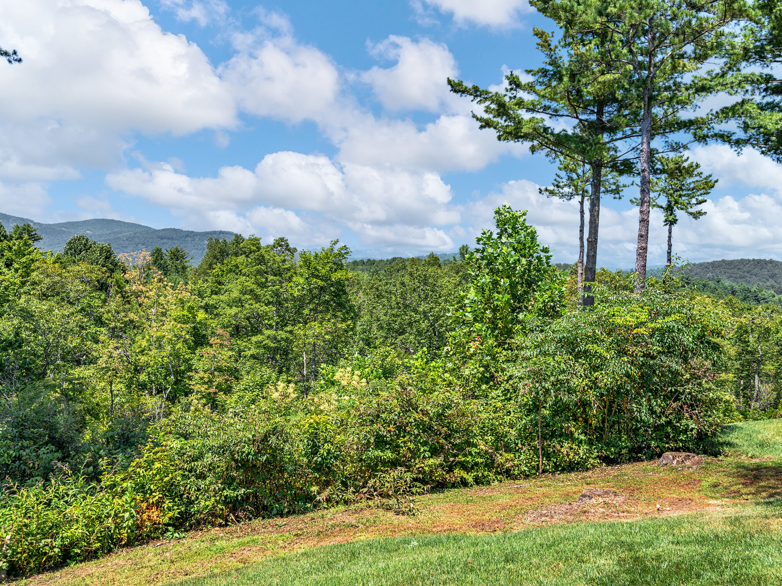 r58-ridge395-mountain-falls-drive-lake-toxaway-09-scaled