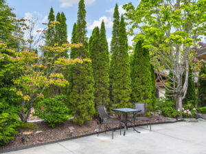 site-81-valley-111-west-resorts-boulevard-lake-toxaway-04