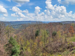 site r33 ridge 404 mountain falls drive lake toxaway 10