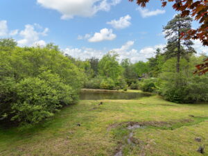 site140-valley-112-resorts-boulevard-lake-toxaway-12