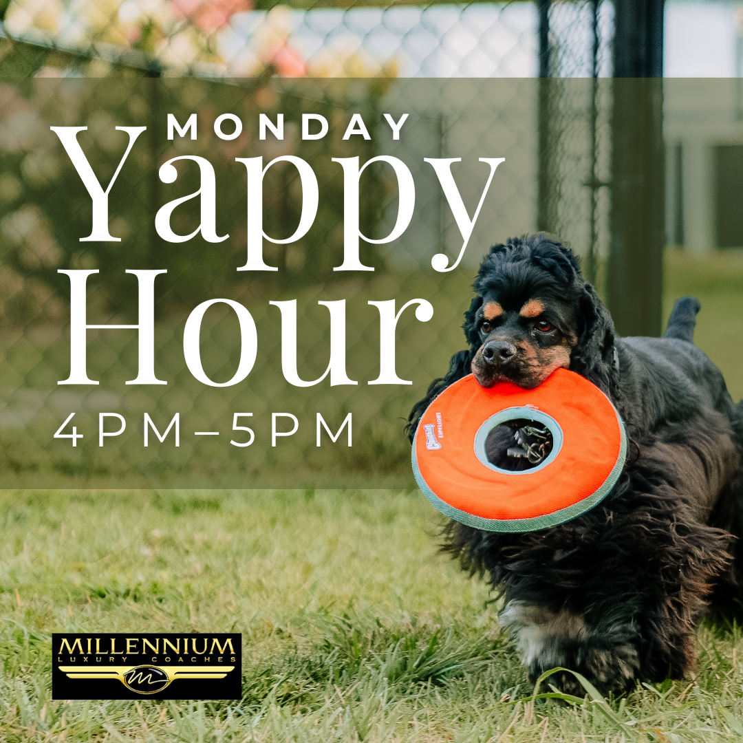Yappy-Hour-Updated (9)