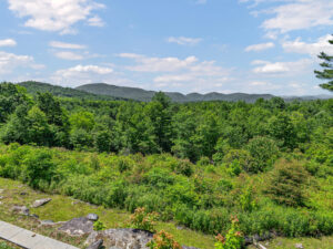 siteR61-ridge-365-mountain-falls-drive-lake-toxaway-07-scaled