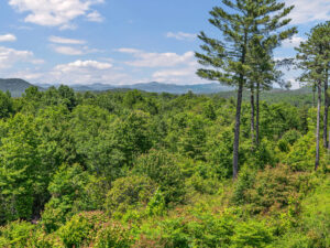 siteR61-ridge-365-mountain-falls-drive-lake-toxaway-09-scaled