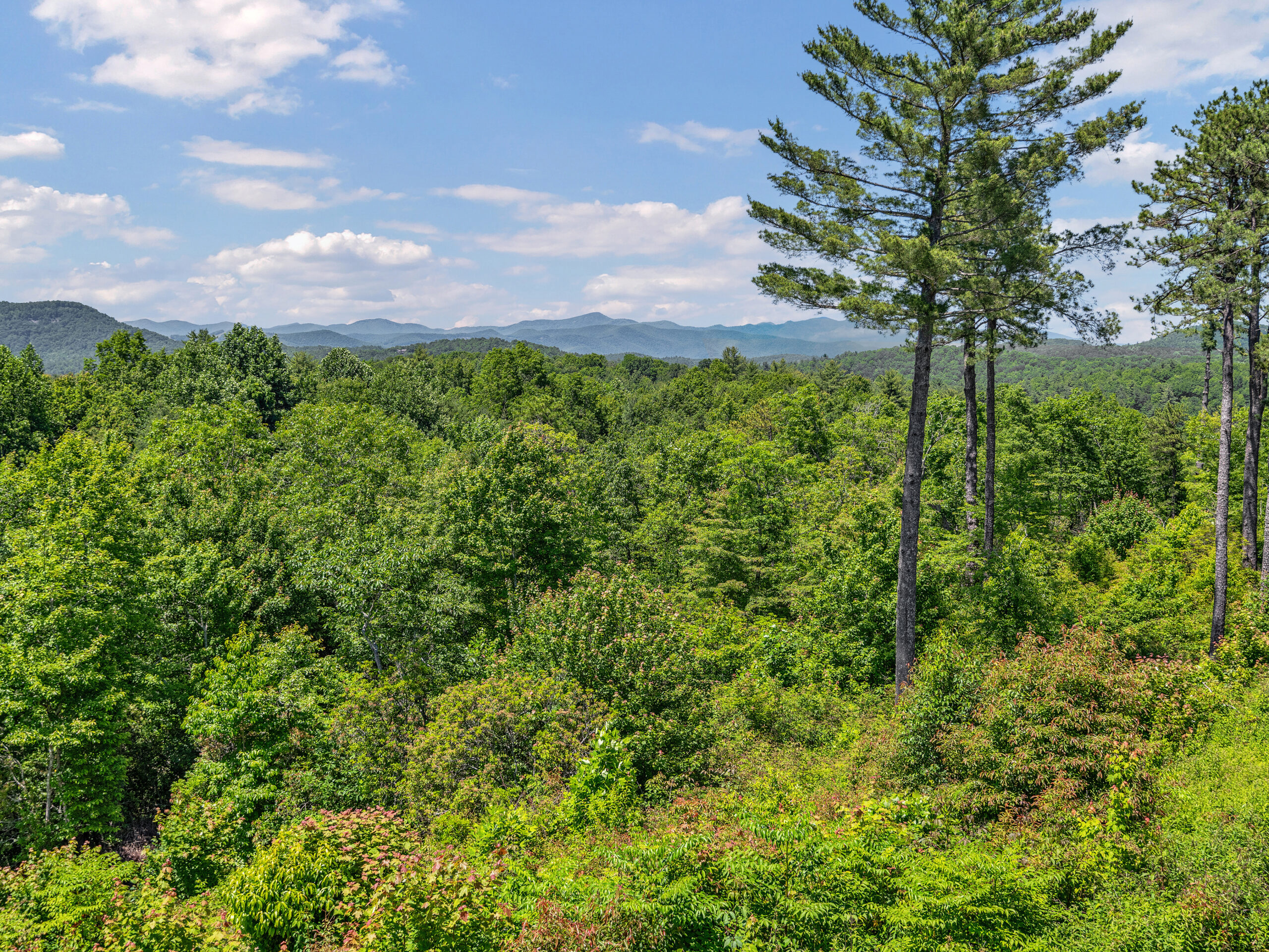 siteR61-ridge-365-mountain-falls-drive-lake-toxaway-09-scaled