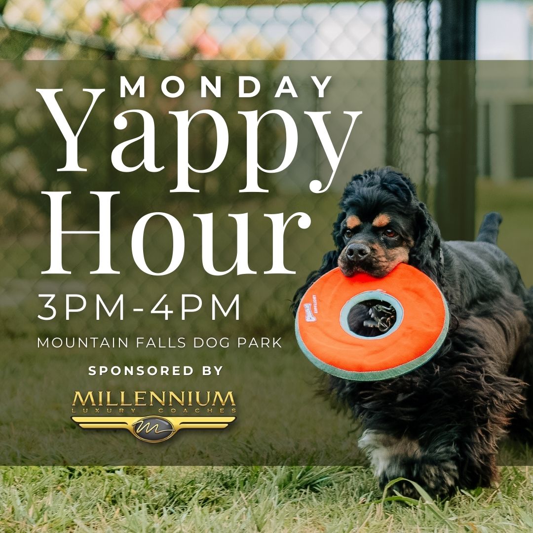 Yappy Hour - Sponsored by Millennium Luxury Coaches